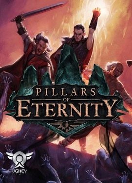 Pillars of Eternity Hero Edition steam gift