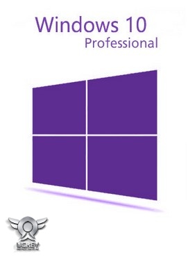 Windows 10 Professional RETAIL PC