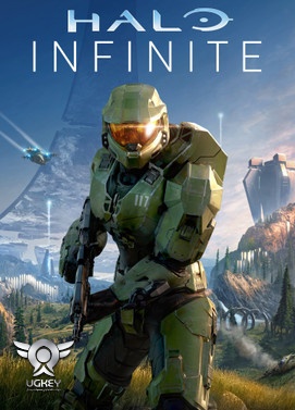 Halo Infinite Campaign Steam Gift
