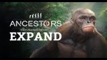 Ancestors: The Humankind Odyssey Official Soundtrack Bundle Steam Gift