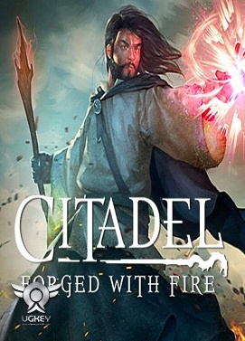 Citadel: Forged with Fire Steam Gift