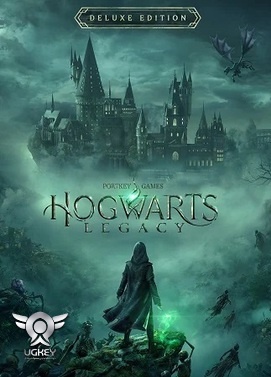 Hogwarts Legacy Deluxe Edition Steam Gift