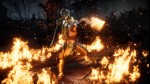 Mortal Kombat 11 PE + Injustice 2 LE - Premier Fighter Steam Gift