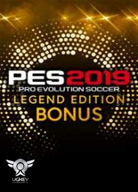 Pro Evolution Soccer 2019 Legend Edition Steam Gift