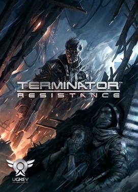 Terminator: Resistance steam gift