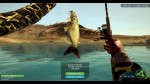 Ultimate Fishing Simulator Steam Gift