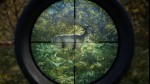 TheHunter: Call of the Wild GLOBAL